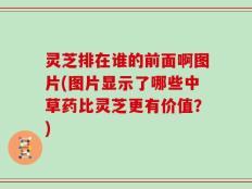 灵芝排在谁的前面啊图片(图片显示了哪些中草药比灵芝更有价值？)