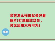 灵芝怎么样做盆景好看图片(打造精致盆景，灵芝运用大有可为)
