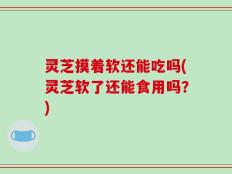 灵芝摸着软还能吃吗(灵芝软了还能食用吗？)