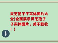灵芝孢子子实体图片大全(全面展示灵芝孢子子实体图片，美不胜收！)