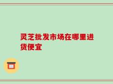 灵芝批发市场在哪里进货便宜