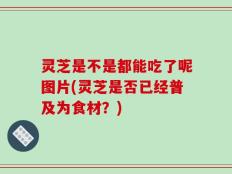 灵芝是不是都能吃了呢图片(灵芝是否已经普及为食材？)
