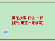 灵芝批发 野生 一斤(野生灵芝一斤批发)