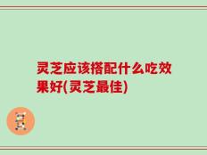 灵芝应该搭配什么吃效果好(灵芝最佳)