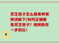 灵芝孢子怎么服用啊视频讲解下(如何正确服用灵芝孢子？视频教你一步到位！