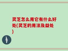 灵芝怎么用它有什么好处(灵芝的用法及益处)