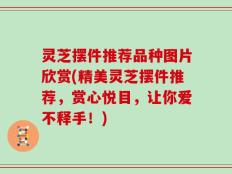 灵芝摆件推荐品种图片欣赏(精美灵芝摆件推荐，赏心悦目，让你爱不释手！)