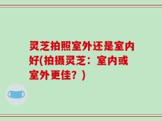 灵芝拍照室外还是室内好(拍摄灵芝：室内或室外更佳？)