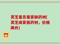 灵芝是否是紧缺药材(灵芝成紧俏药材，价格飙升)