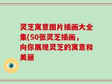 灵芝寓意图片插画大全集(50张灵芝插画，向你展现灵芝的寓意和美丽