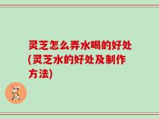 灵芝怎么弄水喝的好处(灵芝水的好处及制作方法)