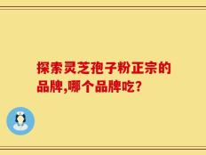 探索灵芝孢子粉正宗的品牌,哪个品牌吃？