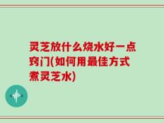 灵芝放什么烧水好一点窍门(如何用最佳方式煮灵芝水)
