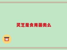 灵芝是食用菌类么