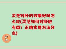灵芝对肝的效果好吗怎么吃(灵芝如何对肝脏有益？正确食用方法分享)