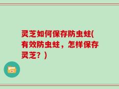 灵芝如何保存防虫蛀(有效防虫蛀，怎样保存灵芝？)