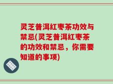 灵芝普洱红枣茶功效与禁忌(灵芝普洱红枣茶的功效和禁忌，你需要知道的事项)