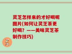 灵芝怎样来的才好喝呢图片(如何让灵芝茶更好喝？——美味灵芝茶制作技巧)