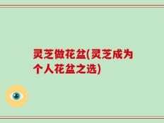 灵芝做花盆(灵芝成为个人花盆之选)