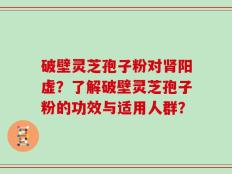 破壁灵芝孢子粉对肾阳虚？了解破壁灵芝孢子粉的功效与适用人群？