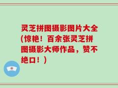 灵芝拼图摄影图片大全(惊艳！百余张灵芝拼图摄影大师作品，赞不绝口！)