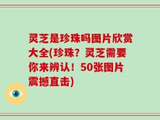 灵芝是珍珠吗图片欣赏大全(珍珠？灵芝需要你来辨认！50张图片震撼直击)
