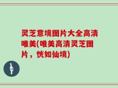 灵芝意境图片大全高清唯美(唯美高清灵芝图片，恍如仙境)