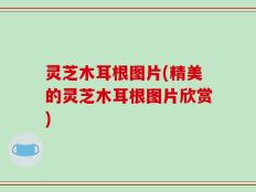 灵芝木耳根图片(精美的灵芝木耳根图片欣赏)