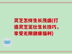 灵芝怎样生长茂盛(打造灵芝茁壮生长技巧，享受无限健康福利)