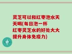灵芝可以和红枣泡水天天喝(每日泡一杯  红枣灵芝水的好处大大提升身体免疫力)