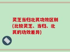 灵芝当归北芪功效区别(比较灵芝、当归、北芪的功效差异)