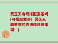 灵芝天麻可搭配煮茶吗(可搭配煮茶！灵芝天麻煮茶的方法和注意事项！)