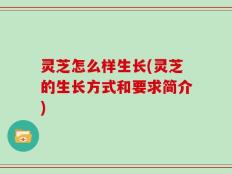 灵芝怎么样生长(灵芝的生长方式和要求简介)