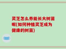 灵芝怎么养能长大树苗呢(如何种植灵芝成为健康的树苗)