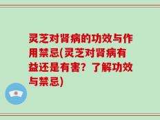 灵芝对肾病的功效与作用禁忌(灵芝对肾病有益还是有害？了解功效与禁忌)