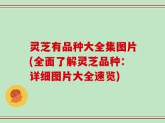 灵芝有品种大全集图片(全面了解灵芝品种：详细图片大全速览)