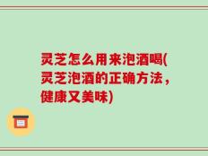 灵芝怎么用来泡酒喝(灵芝泡酒的正确方法，健康又美味)