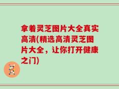 拿着灵芝图片大全真实高清(精选高清灵芝图片大全，让你打开健康之门)