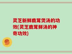 灵芝新鲜鹿茸煲汤的功效(灵芝鹿茸鲜汤的神奇功效)