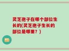 灵芝孢子在哪个部位生长的(灵芝孢子生长的部位是哪里？)