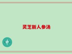 灵芝新人参汤