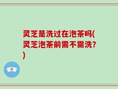 灵芝是洗过在泡茶吗(灵芝泡茶前需不需洗？)