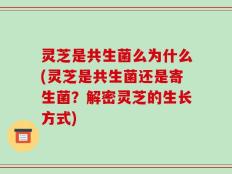 灵芝是共生菌么为什么(灵芝是共生菌还是寄生菌？解密灵芝的生长方式)