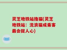 灵芝地铁站撸猫(灵芝地铁站：流浪猫成乘客最会捉人心)