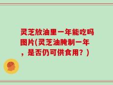 灵芝放油里一年能吃吗图片(灵芝油腌制一年，是否仍可供食用？)