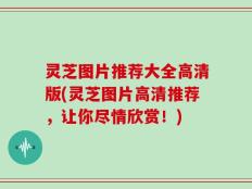 灵芝图片推荐大全高清版(灵芝图片高清推荐，让你尽情欣赏！)