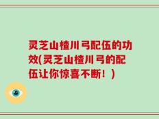 灵芝山楂川弓配伍的功效(灵芝山楂川弓的配伍让你惊喜不断！)