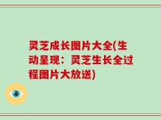灵芝成长图片大全(生动呈现：灵芝生长全过程图片大放送)