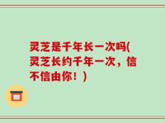 灵芝是千年长一次吗(灵芝长约千年一次，信不信由你！)