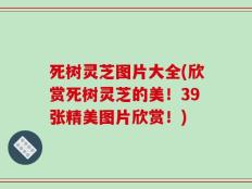 死树灵芝图片大全(欣赏死树灵芝的美！39张精美图片欣赏！)